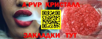 мяу мяу мука Беслан