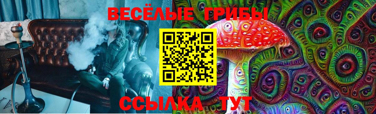 Галлюциногенные грибы Psilocybine cubensis Камышлов